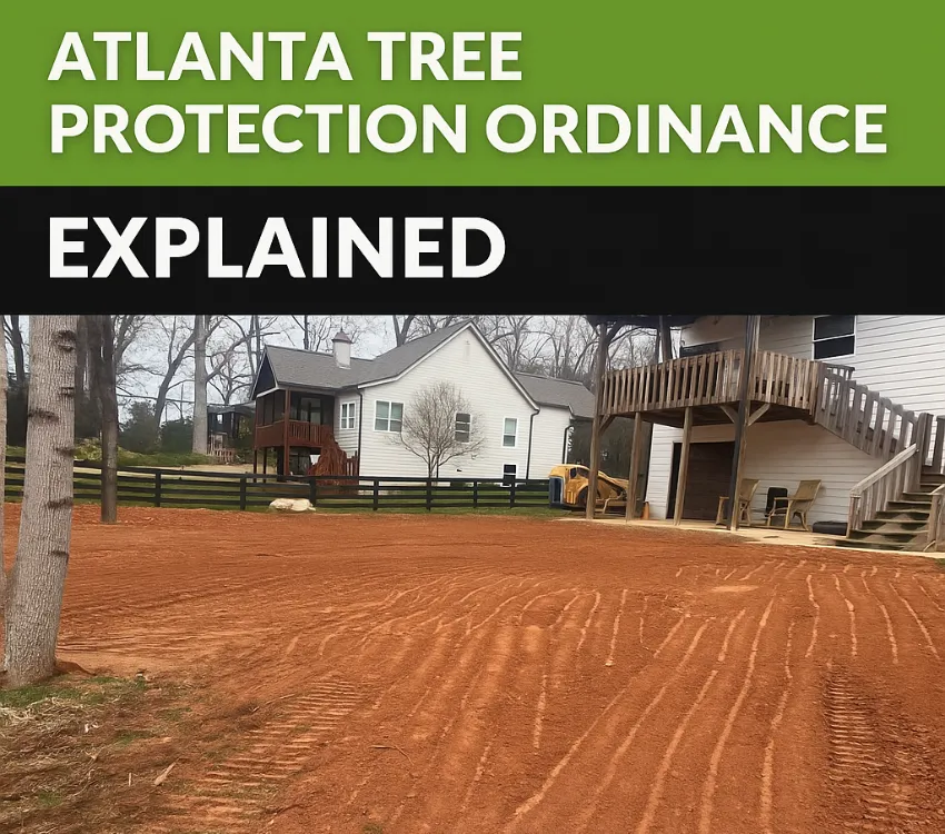 Tree Removal Atlanta Cost