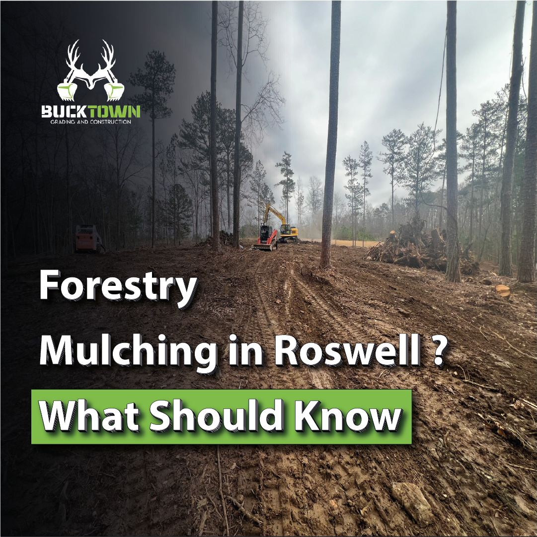Forestry Mulching