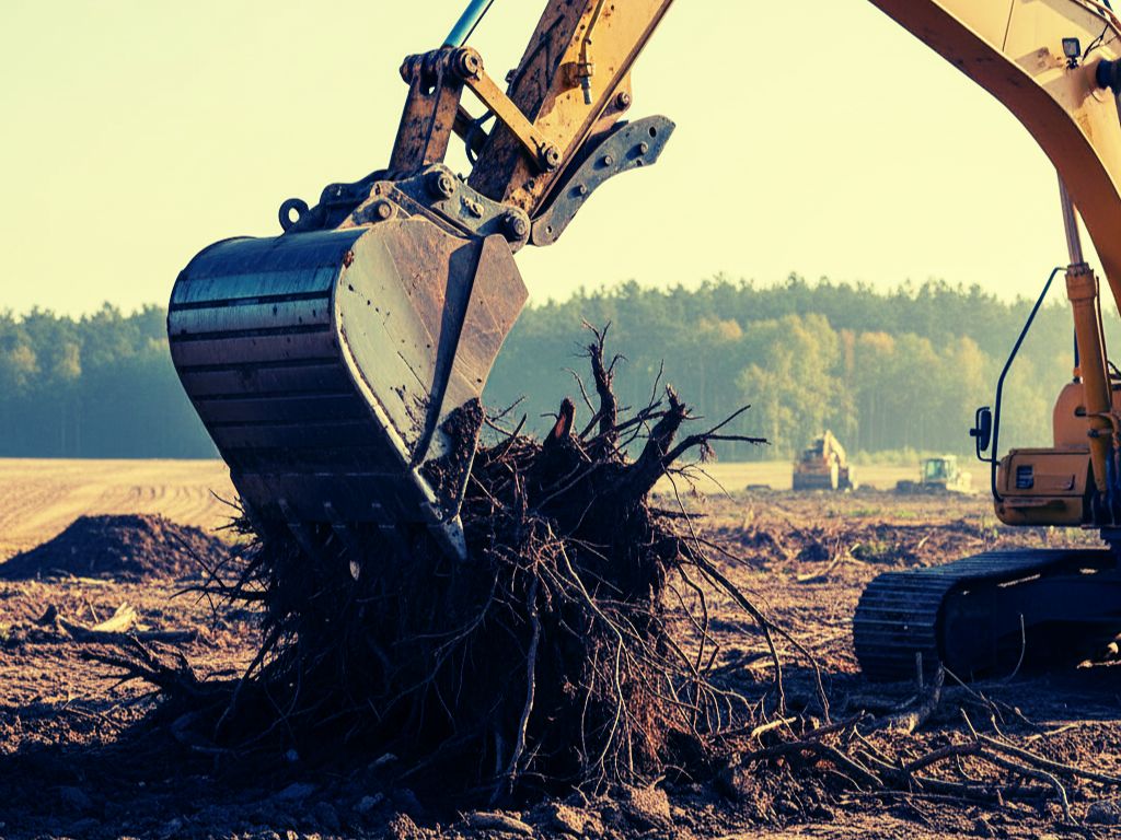 Cleared vs Build Ready Lots: What's the Real Difference? | Bucktown ...