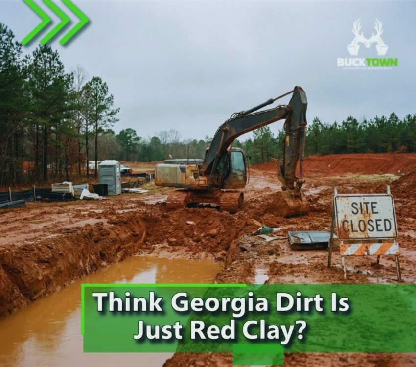 Georgia State Soil
